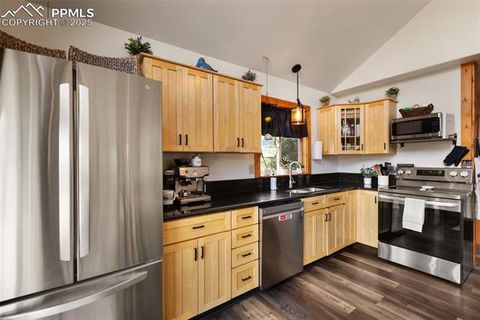 Tiny photo for 104 Mt Elbert Drive, Florissant, CO 80816 (MLS # 9119445)