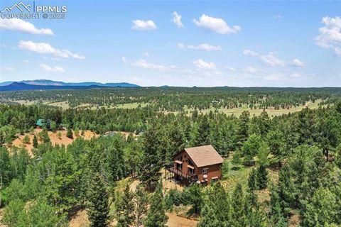 Tiny photo for 104 Mt Elbert Drive, Florissant, CO 80816 (MLS # 9119445)