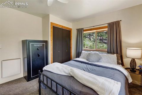 Tiny photo for 104 Mt Elbert Drive, Florissant, CO 80816 (MLS # 9119445)