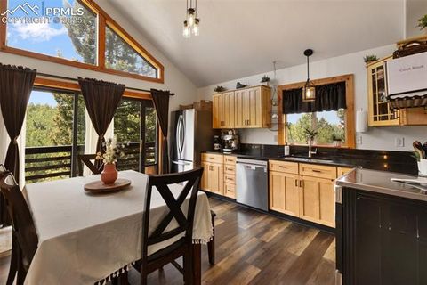 Tiny photo for 104 Mt Elbert Drive, Florissant, CO 80816 (MLS # 9119445)
