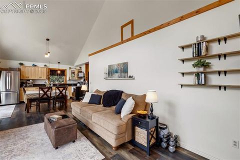 Tiny photo for 104 Mt Elbert Drive, Florissant, CO 80816 (MLS # 9119445)