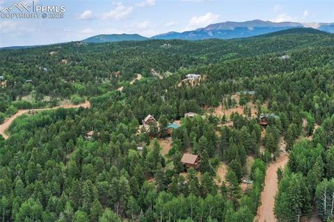 Tiny photo for 104 Mt Elbert Drive, Florissant, CO 80816 (MLS # 9119445)