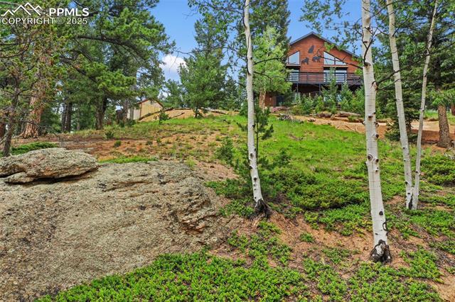 104 Mt Elbert Drive