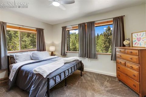 Tiny photo for 104 Mt Elbert Drive, Florissant, CO 80816 (MLS # 9119445)