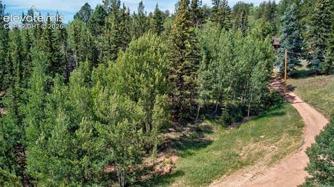Photo of 158 Rattler Court, Cripple Creek, CO 80813 (MLS # 9137247)