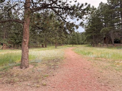 Tiny photo for 2020 Valley View Drive, Woodland Park, CO 80863 (MLS # 5512308)