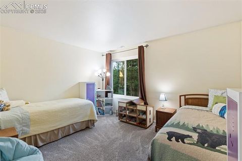 Tiny photo for 2020 Valley View Drive, Woodland Park, CO 80863 (MLS # 5512308)