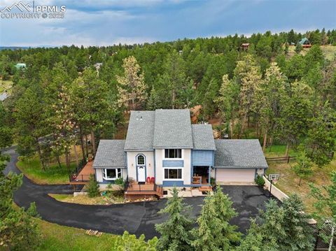 Photo of 2020 Valley View Drive, Woodland Park, CO 80863 (MLS # 5512308)