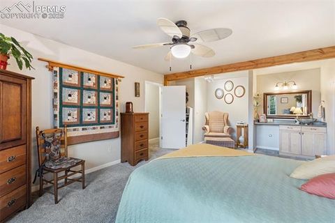 Tiny photo for 2020 Valley View Drive, Woodland Park, CO 80863 (MLS # 5512308)