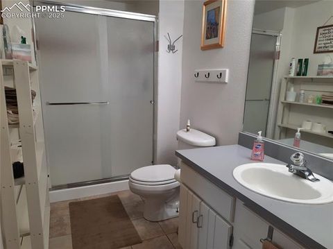 Tiny photo for 2020 Valley View Drive, Woodland Park, CO 80863 (MLS # 5512308)
