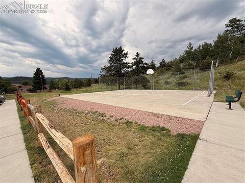 Tiny photo for 2020 Valley View Drive, Woodland Park, CO 80863 (MLS # 5512308)