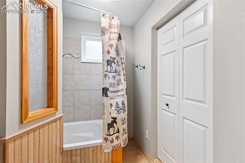Tiny photo for 2020 Valley View Drive, Woodland Park, CO 80863 (MLS # 5512308)