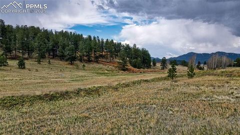 Photo of 188 High Pasture Road, Florissant, CO 80816 (MLS # 5506592)