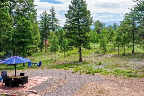 Tiny photo for 126 Rainier Drive, Florissant, CO 80816 (MLS # 2393663)