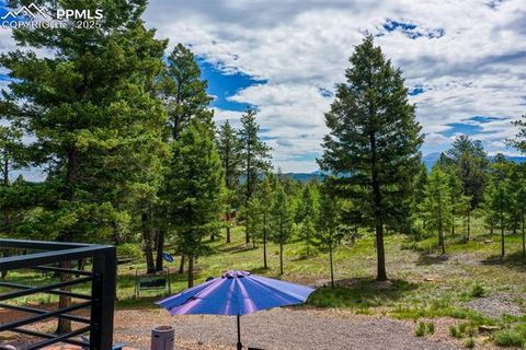 Tiny photo for 126 Rainier Drive, Florissant, CO 80816 (MLS # 2393663)