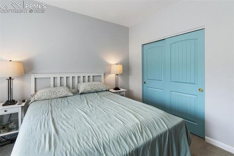 Tiny photo for 126 Rainier Drive, Florissant, CO 80816 (MLS # 2393663)
