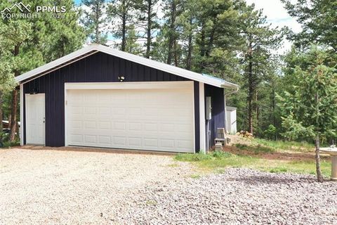 Tiny photo for 126 Rainier Drive, Florissant, CO 80816 (MLS # 2393663)