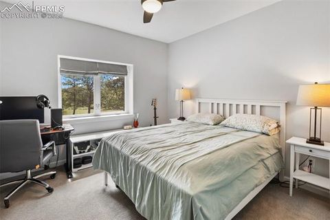 Tiny photo for 126 Rainier Drive, Florissant, CO 80816 (MLS # 2393663)