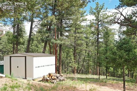 Tiny photo for 126 Rainier Drive, Florissant, CO 80816 (MLS # 2393663)
