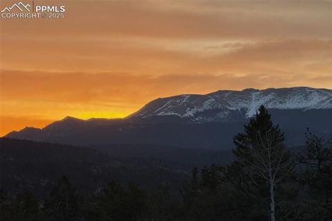 Tiny photo for 126 Rainier Drive, Florissant, CO 80816 (MLS # 2393663)