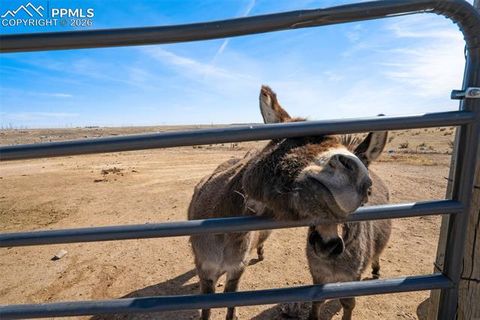 Tiny photo for 6670 Indian Village Heights, Fountain, CO 80817 (MLS # 5344570)