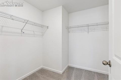 Tiny photo for 7894 Rainy Creek Trail, Colorado Springs, CO 80925 (MLS # 8078148)