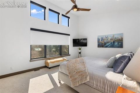 Tiny photo for 449 Oxford Lane, Woodland Park, CO 80863 (MLS # 9553951)