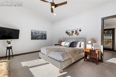 Tiny photo for 449 Oxford Lane, Woodland Park, CO 80863 (MLS # 9553951)