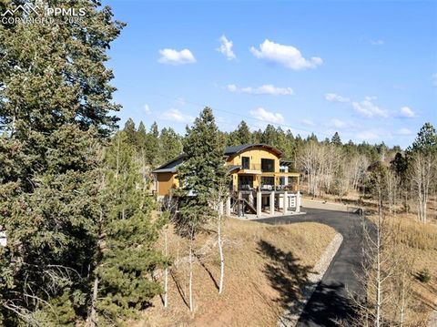 Photo of 449 Oxford Lane, Woodland Park, CO 80863 (MLS # 9553951)