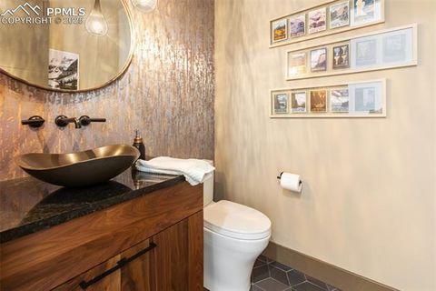 Tiny photo for 449 Oxford Lane, Woodland Park, CO 80863 (MLS # 9553951)