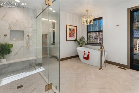 Tiny photo for 449 Oxford Lane, Woodland Park, CO 80863 (MLS # 9553951)