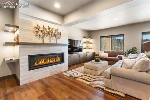 Tiny photo for 449 Oxford Lane, Woodland Park, CO 80863 (MLS # 9553951)