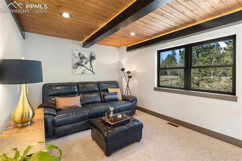 Tiny photo for 449 Oxford Lane, Woodland Park, CO 80863 (MLS # 9553951)