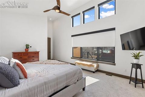 Tiny photo for 449 Oxford Lane, Woodland Park, CO 80863 (MLS # 9553951)