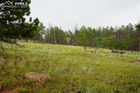 Photo of 308 Chapparal Trail, Florissant, CO 80816 (MLS # 5790939)