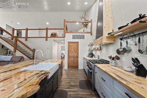 Tiny photo for 2270 Pikes Peak Drive, Florissant, CO 80816 (MLS # 9950390)