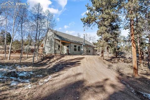 Tiny photo for 2270 Pikes Peak Drive, Florissant, CO 80816 (MLS # 9950390)