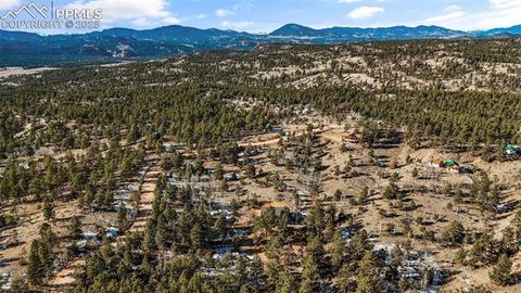 Tiny photo for 2270 Pikes Peak Drive, Florissant, CO 80816 (MLS # 9950390)