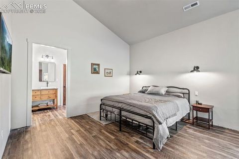 Tiny photo for 2270 Pikes Peak Drive, Florissant, CO 80816 (MLS # 9950390)