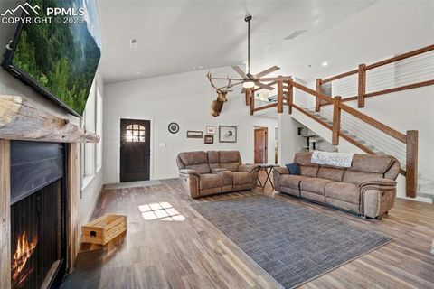 Tiny photo for 2270 Pikes Peak Drive, Florissant, CO 80816 (MLS # 9950390)