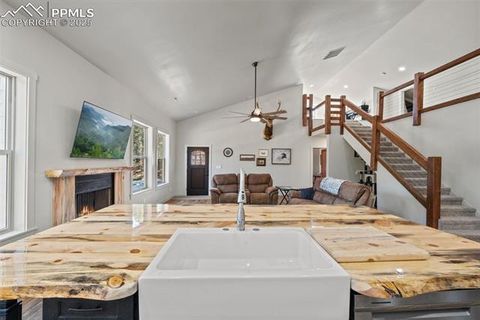 Tiny photo for 2270 Pikes Peak Drive, Florissant, CO 80816 (MLS # 9950390)