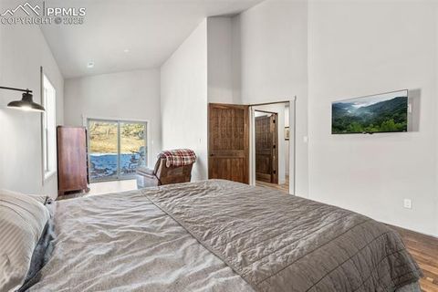 Tiny photo for 2270 Pikes Peak Drive, Florissant, CO 80816 (MLS # 9950390)