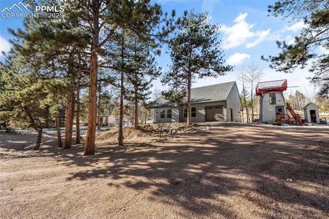 Tiny photo for 2270 Pikes Peak Drive, Florissant, CO 80816 (MLS # 9950390)