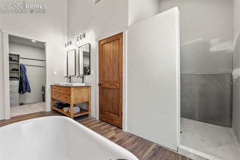 Tiny photo for 2270 Pikes Peak Drive, Florissant, CO 80816 (MLS # 9950390)