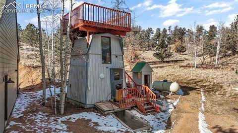 Tiny photo for 2270 Pikes Peak Drive, Florissant, CO 80816 (MLS # 9950390)