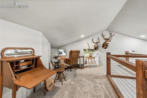 Tiny photo for 2270 Pikes Peak Drive, Florissant, CO 80816 (MLS # 9950390)