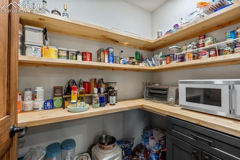 Tiny photo for 2270 Pikes Peak Drive, Florissant, CO 80816 (MLS # 9950390)