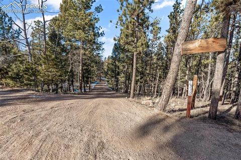Tiny photo for 2270 Pikes Peak Drive, Florissant, CO 80816 (MLS # 9950390)