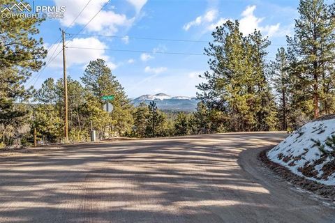 Tiny photo for 2270 Pikes Peak Drive, Florissant, CO 80816 (MLS # 9950390)