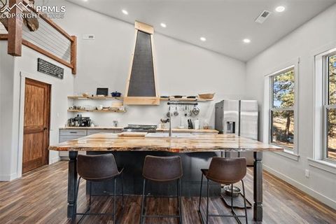 Tiny photo for 2270 Pikes Peak Drive, Florissant, CO 80816 (MLS # 9950390)